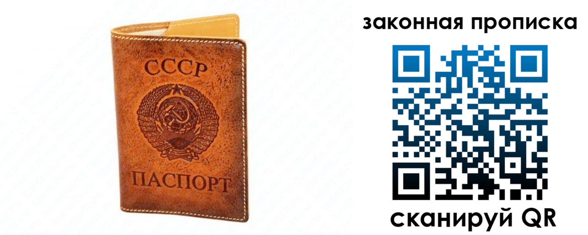 прописка в Бородино